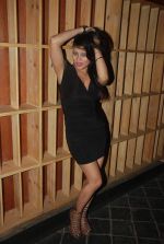 at Anupama Shukla_s bday bash in Seesha Sky Lounge Gold, Juhu on 18th Dec 2011 (28).JPG